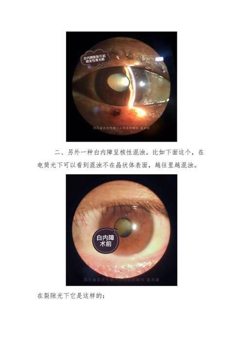 广西桂林赋盈眼科地址电话营业时间