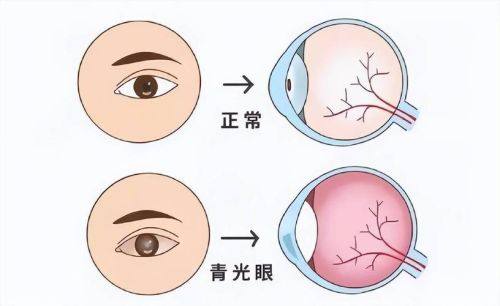 梧州市中医医院地址电话营业时间