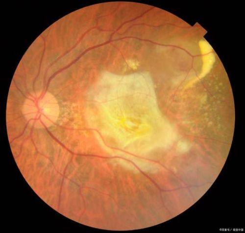 梧州市中医医院特色项目及技术优势