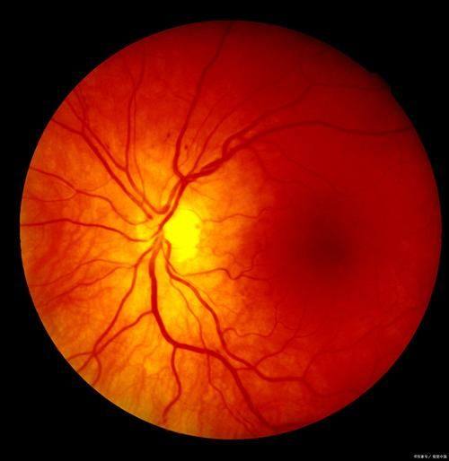 衡阳市第一人民医院眼科收费价格表/收费标准