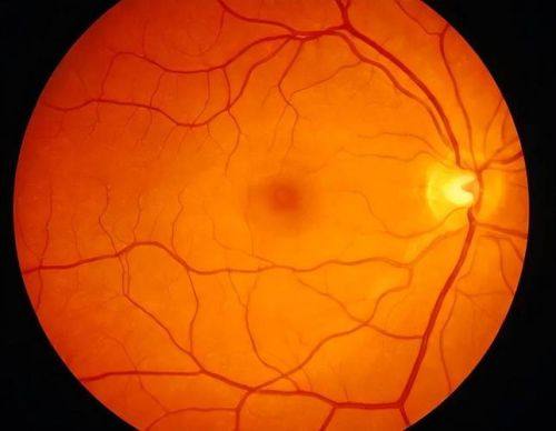 衡阳市第一人民医院眼科详细的预约挂号方式及流程