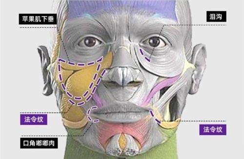 郑州艺美千嘉延丽美容整形医院详细的预约挂号方式及流程