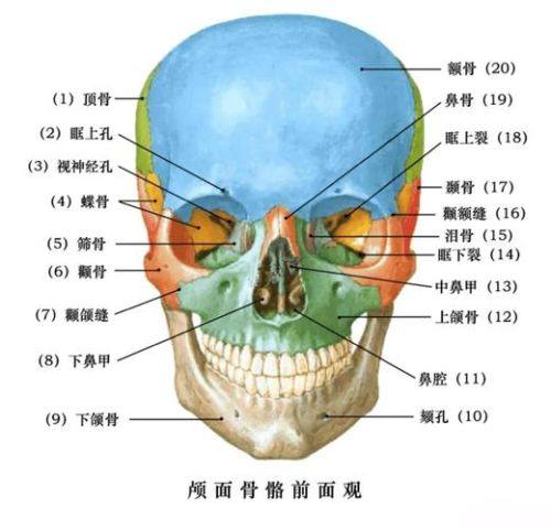 荆州精诚口腔门诊部详细的预约挂号方式及流程