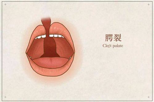 泰州市人民医院烧伤整形科收费价格表/收费标准