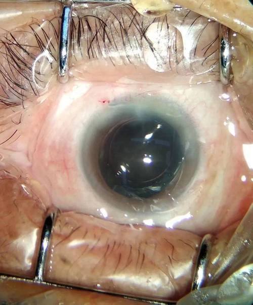 重庆市大足区人民医院医生团队实力强大及骨干医生简介