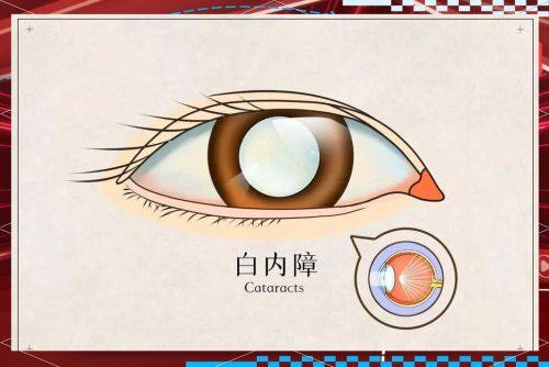 重庆市大足区人民医院详细的预约挂号方式及流程