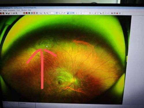 承德市中医院地址电话营业时间