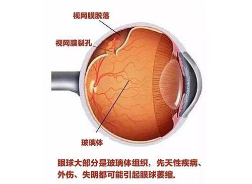 海南海口博创医院特色项目及技术优势