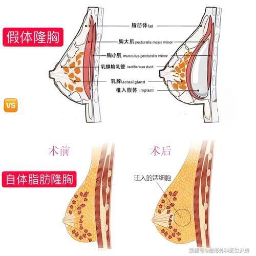 信阳东美整形美容医院医生团队实力强大及骨干医生简介