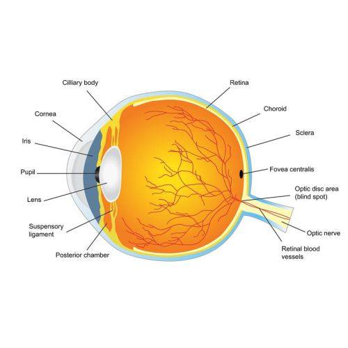 兴义市人民医院眼科地址电话营业时间