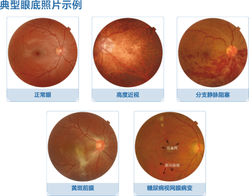 印江自治县人民医院医生团队实力强大及骨干医生简介