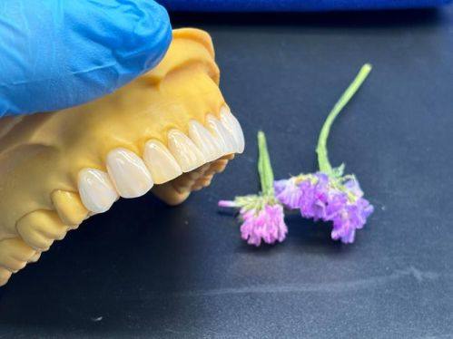 长沙芙蓉米子君口腔门诊部收费价格表/收费标准