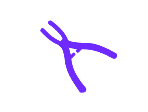 毕节幸美口腔详细的预约挂号方式及流程