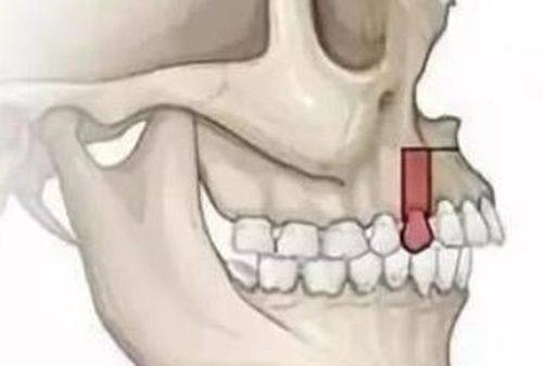 重庆牙博士口腔医院（南岸机构）是正规医院吗？