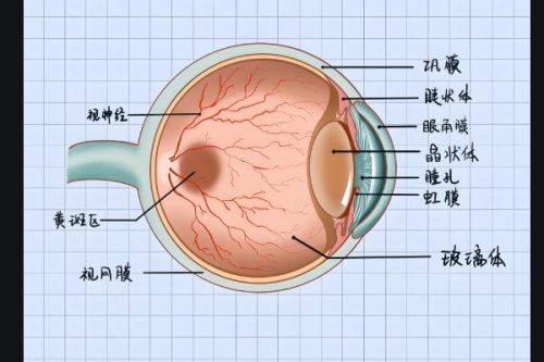 南京鼓楼新视力眼科诊所真人口碑评价怎么样？