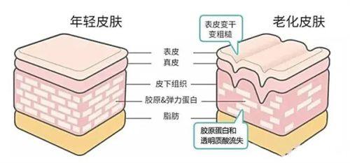 武汉卓妍医疗美容门诊部收费价格表/收费标准