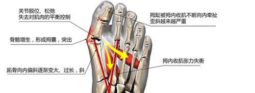 上海魏有志医疗美容诊所医生团队实力强大及骨干医生简介