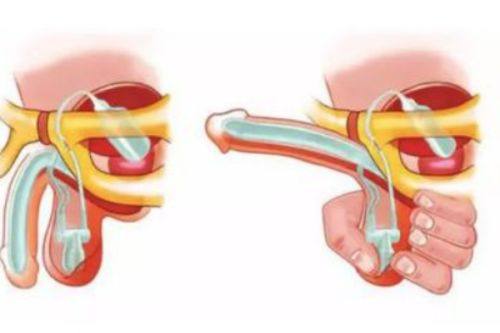 陕西省人民医院皮肤科真人口碑评价怎么样？