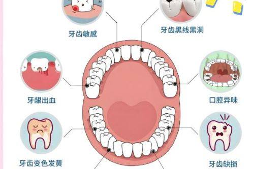 马盼盼医生价格表
