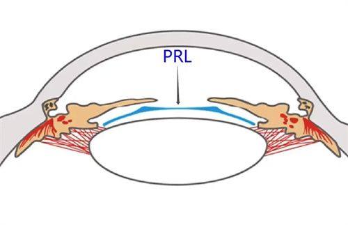 武汉市第六医院眼科特色项目及技术优势