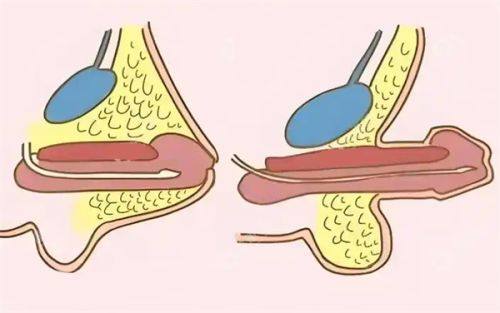 黄峰医生执医荣誉