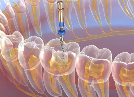 绵阳涪城倍诚熊猫口腔门诊部医生团队实力强大及骨干医生简介