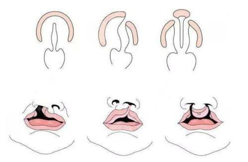 深圳美加美医疗美容整形门诊部医生团队实力强大及骨干医生简介