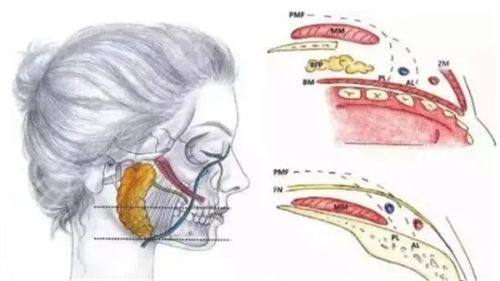 黄峰医生价格表