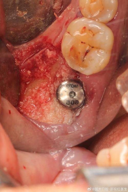高念医生价格表