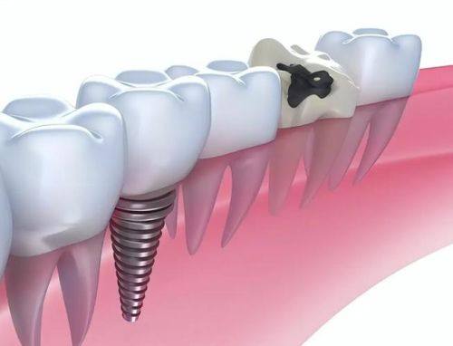 高念医生价格表
