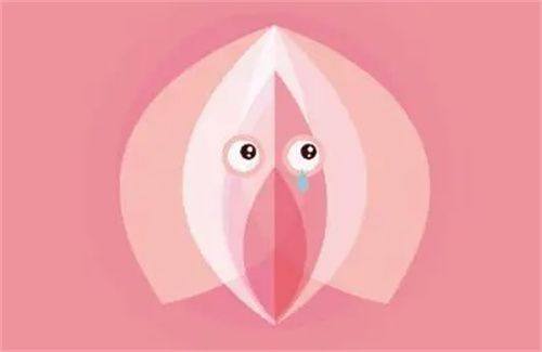 周口刘金刚整形美容医院收费价格表/收费标准