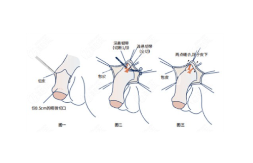 FACE-LINE整形外科医院地址电话营业时间