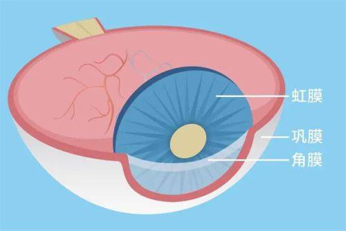 重庆市垫江南阳医院眼科医生团队实力强大及骨干医生简介