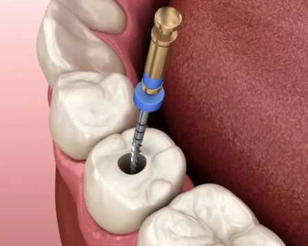 山东威海尹忠植口腔医生团队实力强大及骨干医生简介