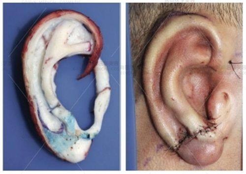 东莞南城环球美天元美医疗美容诊所地址电话营业时间