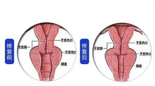 上海香格丽雅医疗美容门诊部医生团队实力强大及骨干医生简介