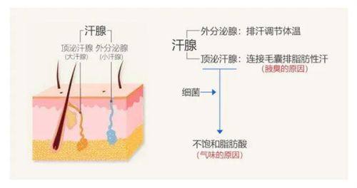 南宁申美芯医疗美容诊所详细的预约挂号方式及流程