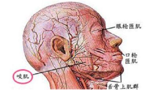 北京嘉禾医疗美容收费价格表/收费标准