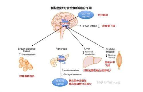 成都华 西整形医院是正规医院吗？