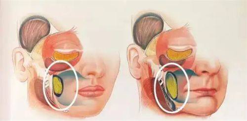 成都锦江海涛医学美容诊所地址电话营业时间